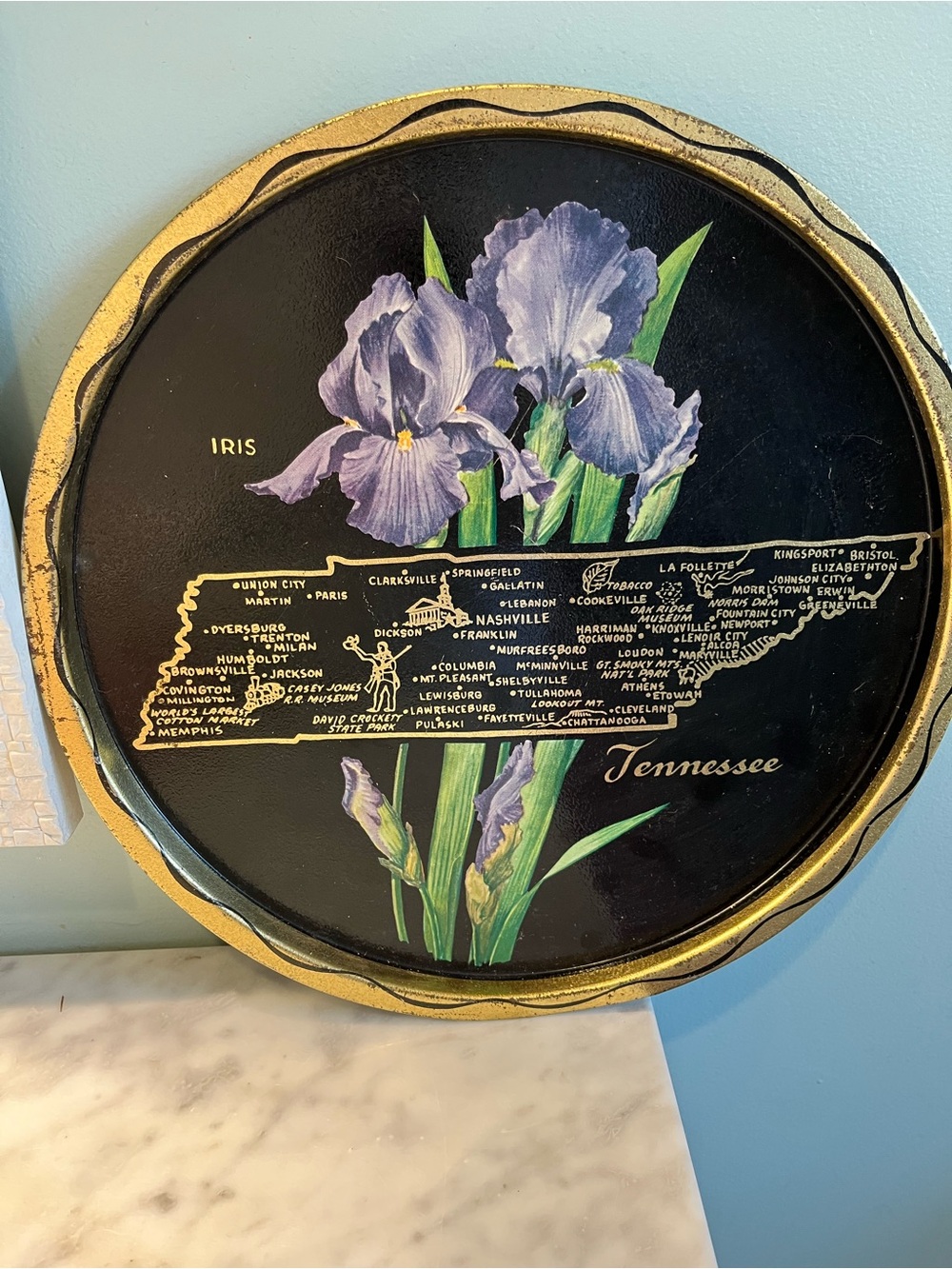 Tennessee Iris Decorative Wall Tray - Black & Purple Accent